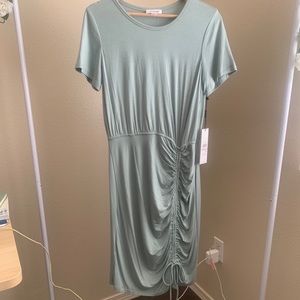 NWT Calvin Klein Sage Green Dress